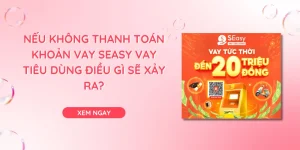 Nếu không thanh toán khoản vay SEasy Vay Tiêu Dùng điều gì sẽ xảy ra