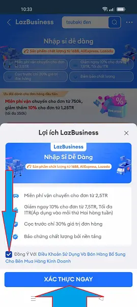 LazBusiness 2